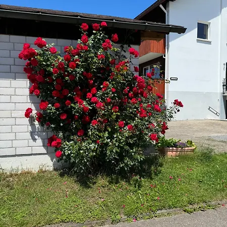 Haus Waldeck Apartament *