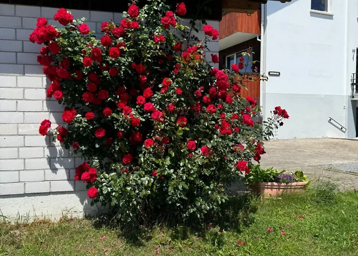 Haus Waldeck Appartamento *